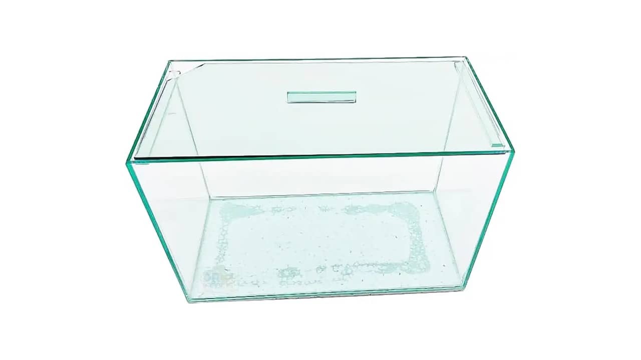 Melhor Aquário: Top 10 Opções para Diversos Ambientes