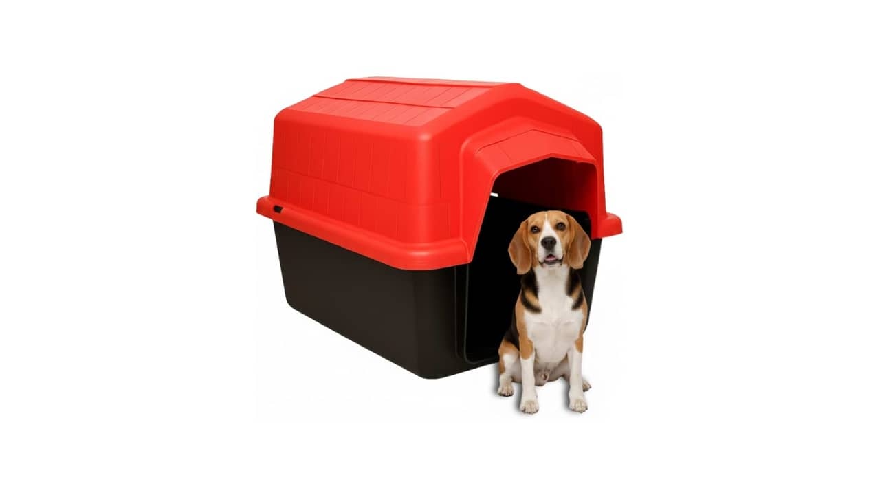 Melhor Casa para Cachorro: Proteção UV e Ventilação Excelentes