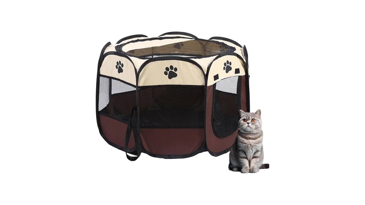 Melhor Cercado para Gato: Análise de 10 Modelos Protegidos e Confortáveis