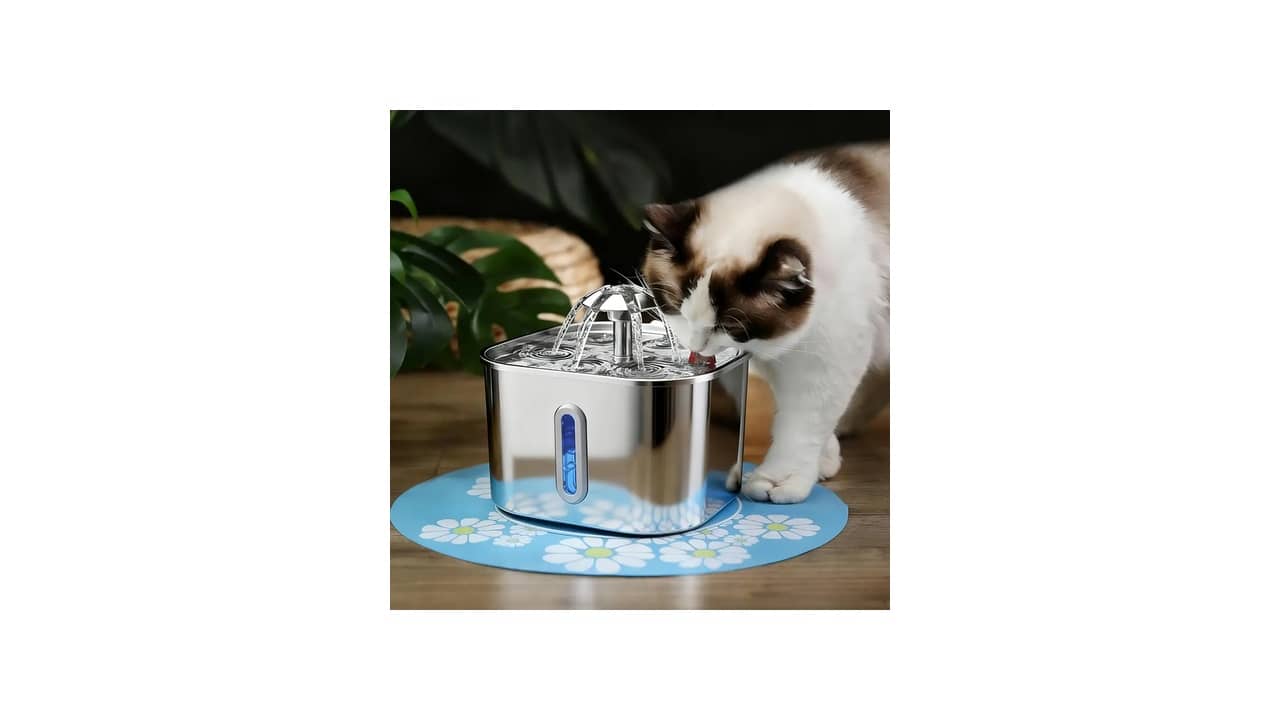 Melhor Fonte de Água Automática para Gato: Qual Se Encaixa Melhor no Seu Gato?