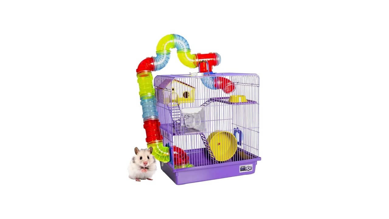 Melhor Gaiola para Hamster: Análise de 10 Modelos Ótimos
