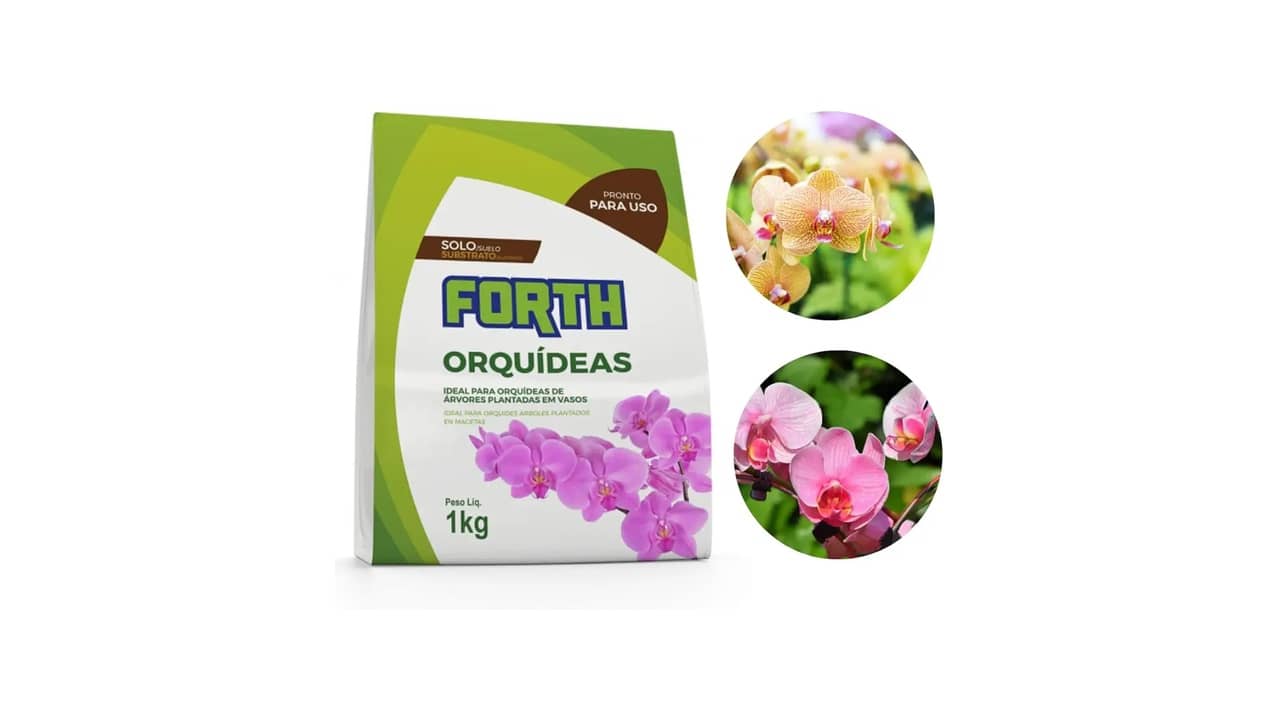 Melhor Substrato para Orquídeas: 7 Opções de Classe A