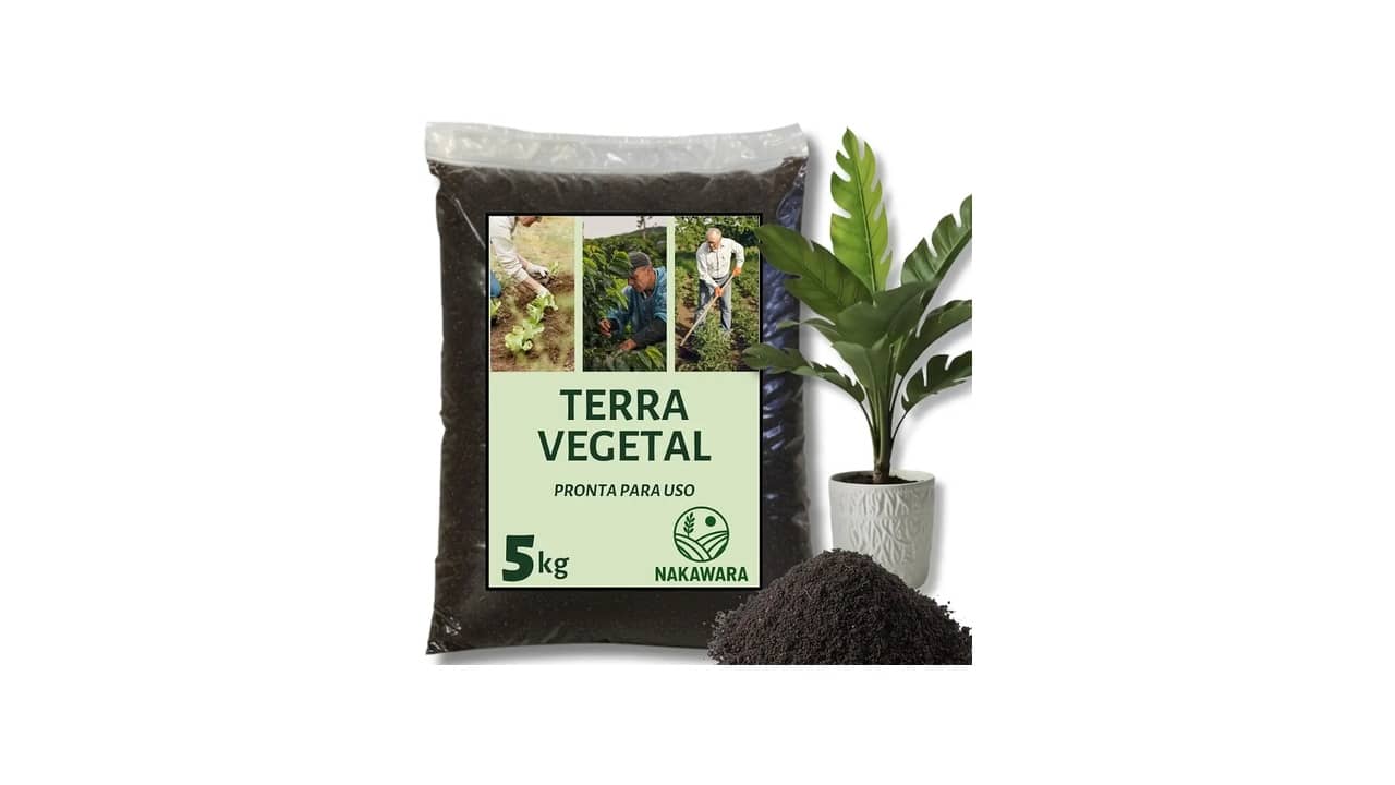 Melhor Substrato para Plantas: Qual Opção Nutritiva e Drenagem Adequada?